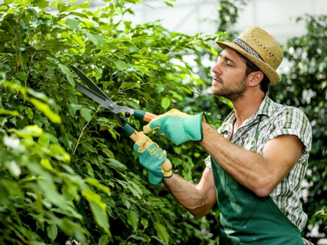 Garden volunteers sorting recyclables and compostable materials in an urban garden