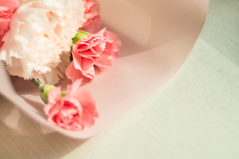 Lawn care lawn maintenance